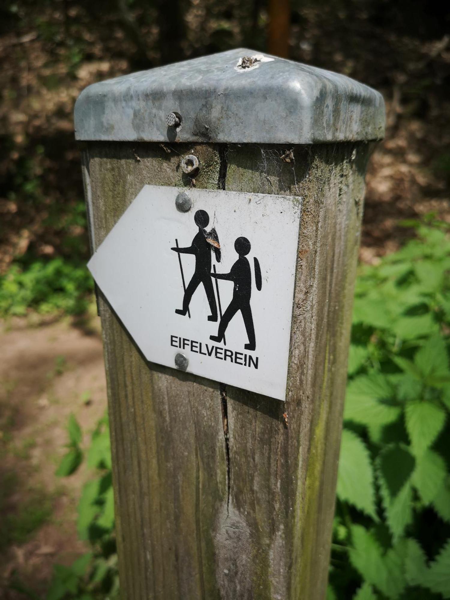 Ferienwohnung In Waldrandlage In Nationalpark Schleiden / Eifel Ngoại thất bức ảnh