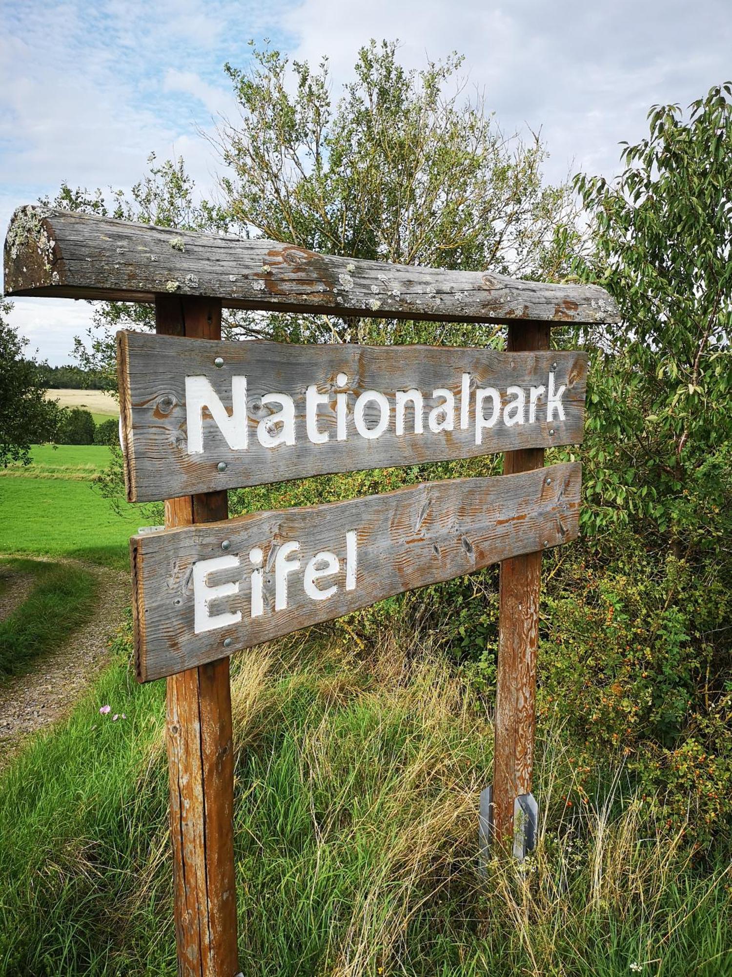 Ferienwohnung In Waldrandlage In Nationalpark Schleiden / Eifel Ngoại thất bức ảnh