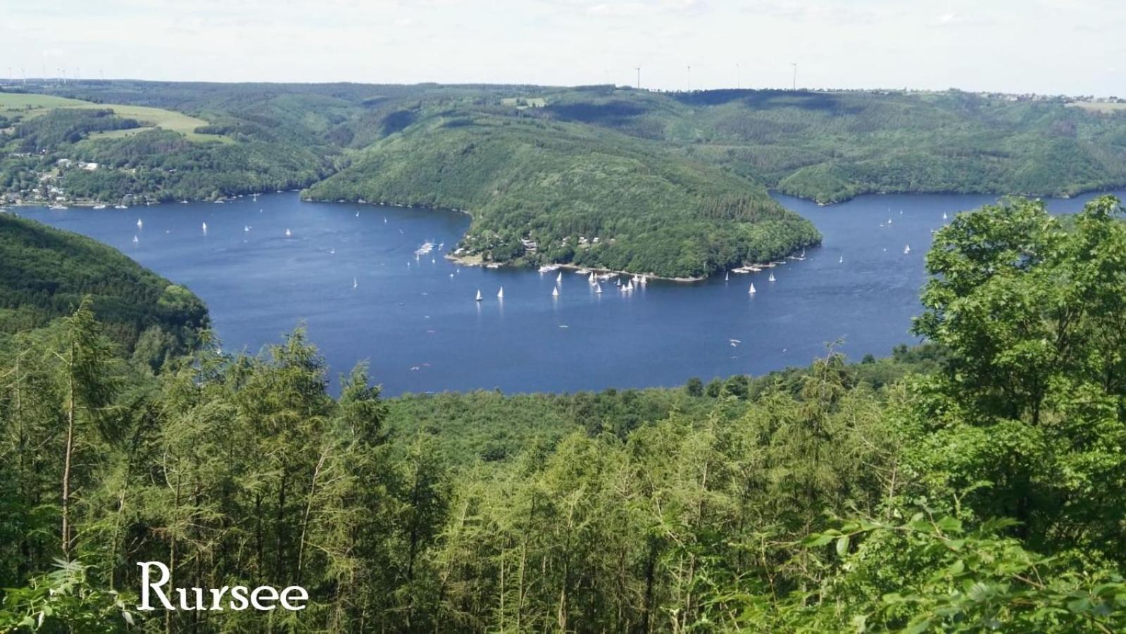 Ferienwohnung In Waldrandlage In Nationalpark Schleiden / Eifel Ngoại thất bức ảnh