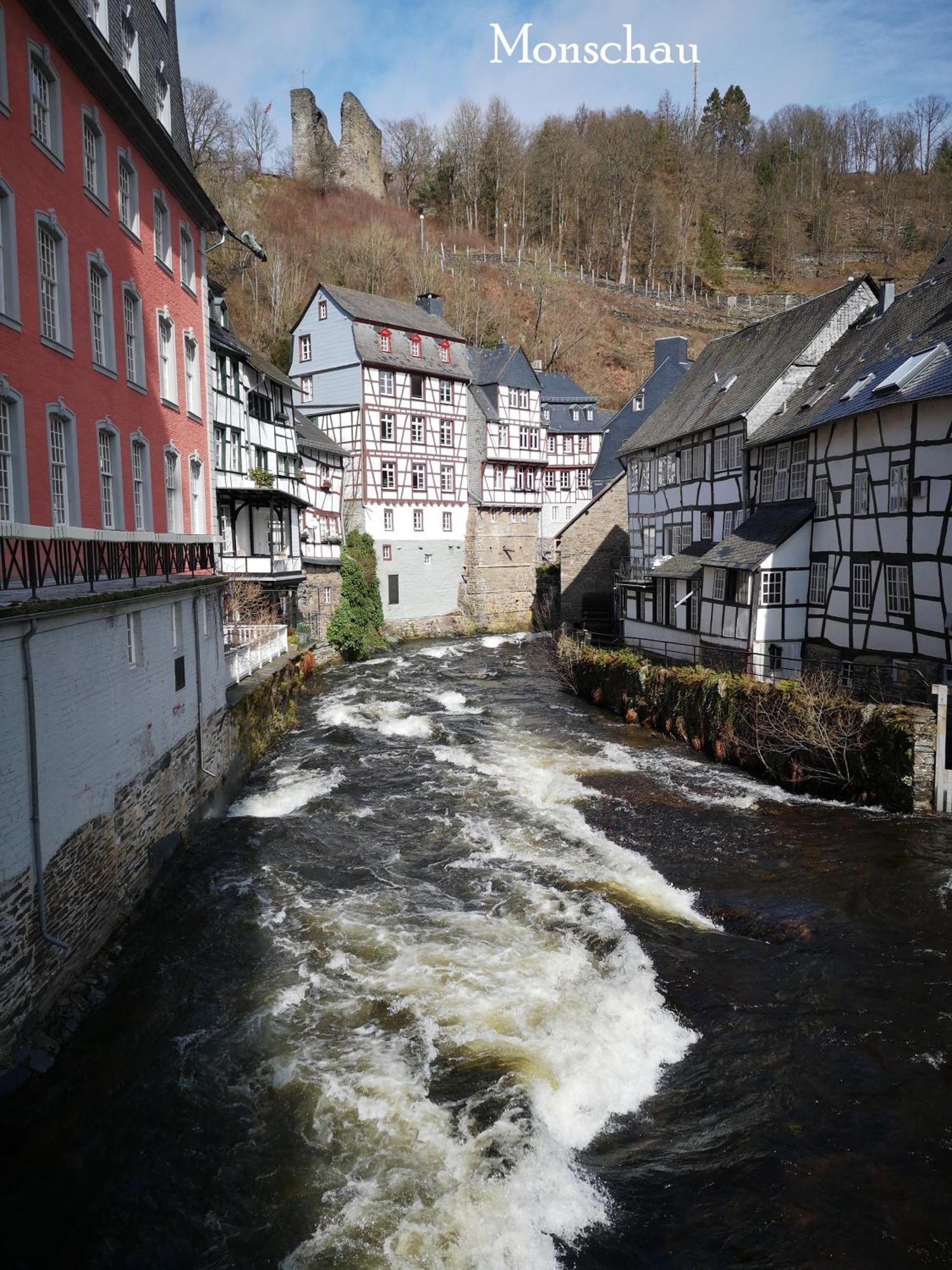 Ferienwohnung In Waldrandlage In Nationalpark Schleiden / Eifel Ngoại thất bức ảnh