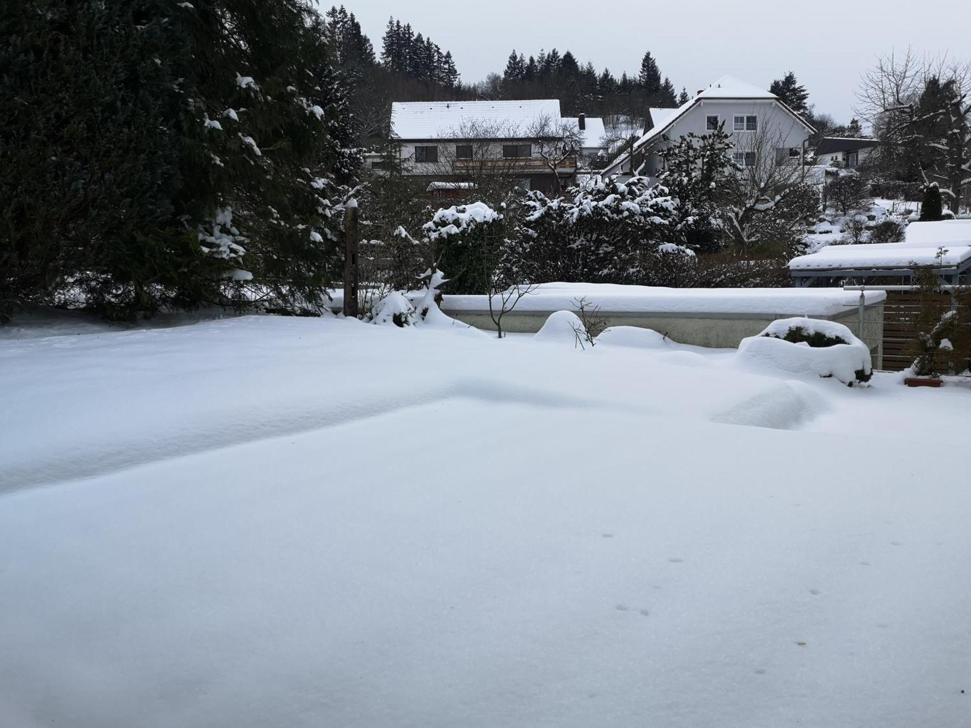 Ferienwohnung In Waldrandlage In Nationalpark Schleiden / Eifel Ngoại thất bức ảnh