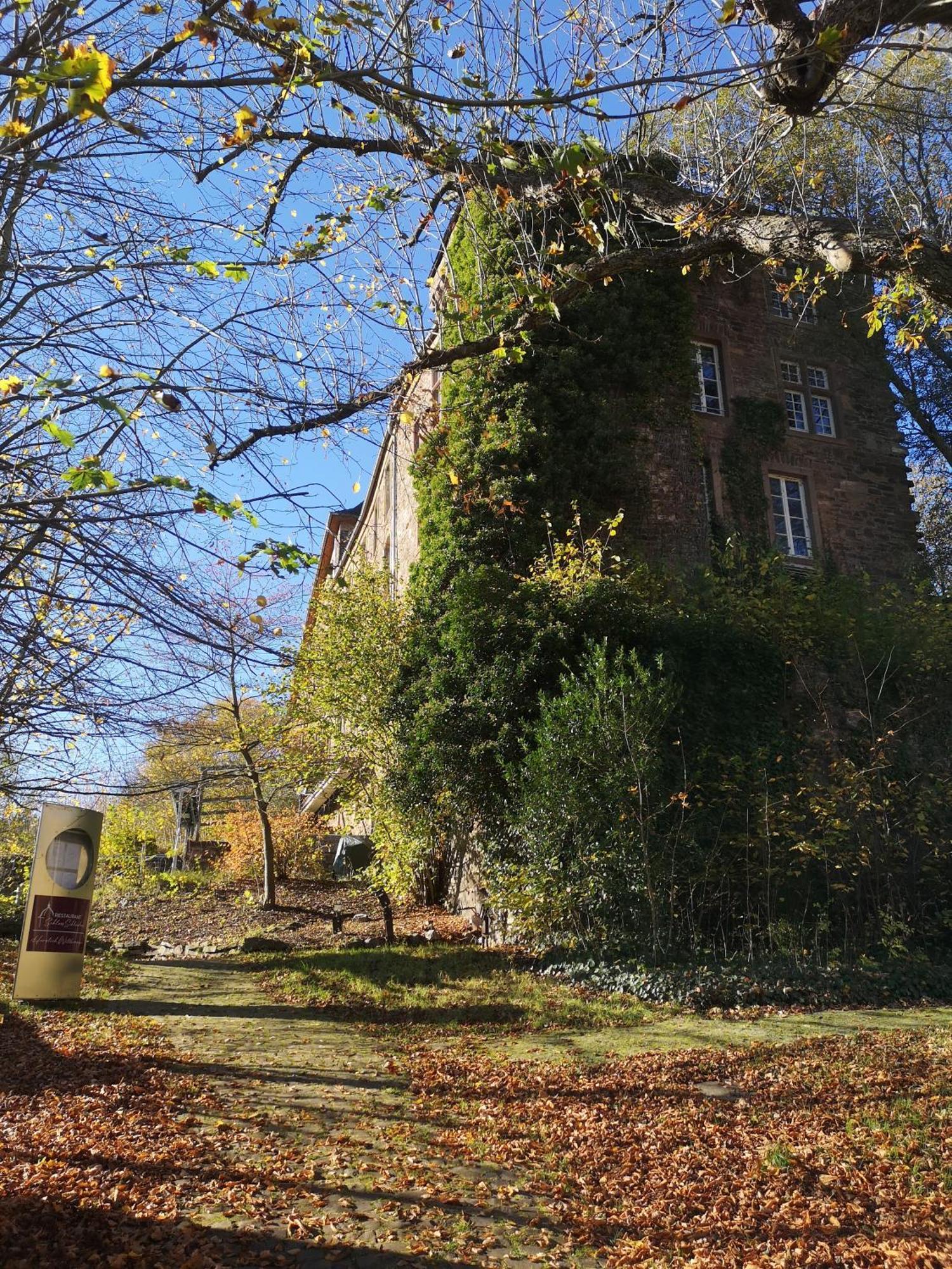 Ferienwohnung In Waldrandlage In Nationalpark Schleiden / Eifel Ngoại thất bức ảnh