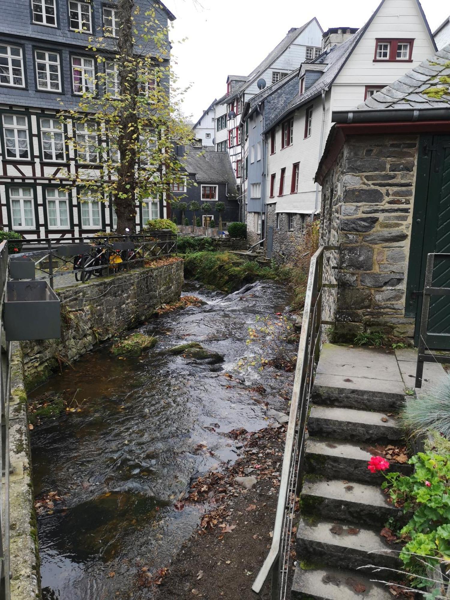 Ferienwohnung In Waldrandlage In Nationalpark Schleiden / Eifel Ngoại thất bức ảnh