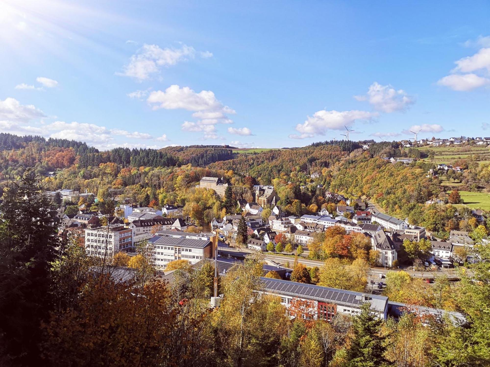Ferienwohnung In Waldrandlage In Nationalpark Schleiden / Eifel Ngoại thất bức ảnh